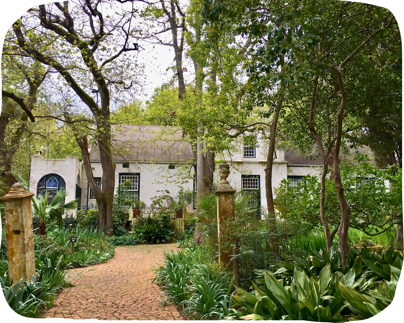 Picture of a stone path lined with greenery leading to an old Cape Dutch building.